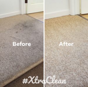 Carpet cleaning results for Apolonia, Montalvo, Ventura
