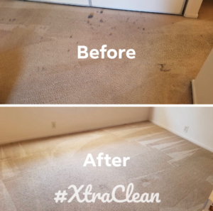 Professional carpet cleaning Agoura Hills CA - Xtra Clean deep carpet cleaning results