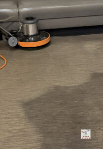 Commercial carpet cleaning in Ventura County by Xtra Clean