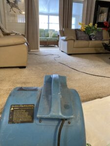 Beige carpet cleaning results for Patricia, Vallecito Estates, Newbury Park